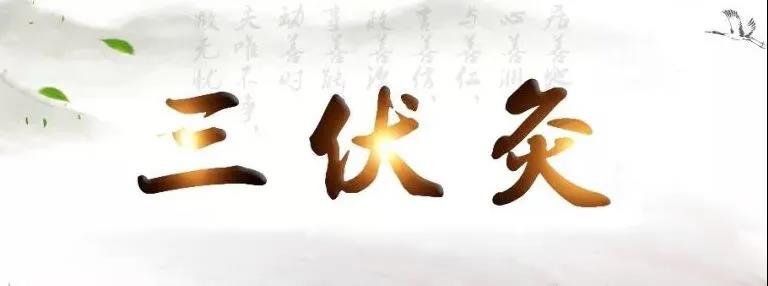 艾灸冬病夏治，春夏養陽，三伏灸果真如此神奇？