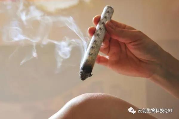 艾灸能同時調理好幾種婦科問題，簡單有奇效，現在開始灸還不晚！